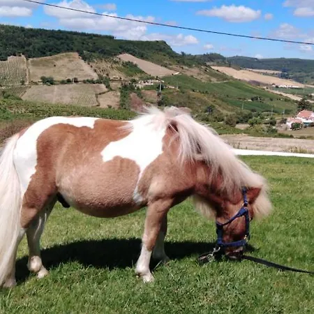 Holiday home Casinha De Ferias No Campo - Quintinha Dos Cavalos - Arruda Dos Vinhos *