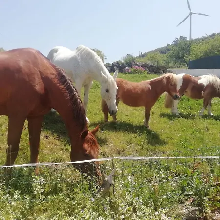 Casinha De Ferias No Campo - Quintinha Dos Cavalos - Arruda Dos Vinhos Sabugos