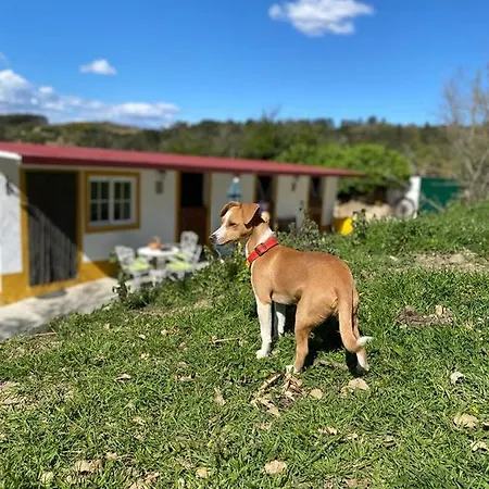 度假居 Casinha De Ferias No Campo - Quintinha Dos Cavalos - Arruda Dos Vinhos