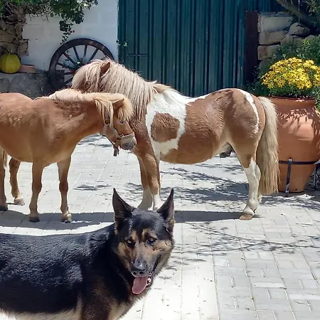 度假居 Casinha De Ferias No Campo - Quintinha Dos Cavalos - Arruda Dos Vinhos *