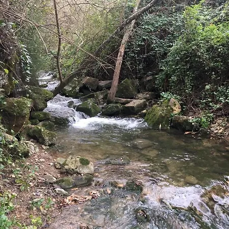 Holiday home Casinha De Ferias No Campo - Quintinha Dos Cavalos - Arruda Dos Vinhos