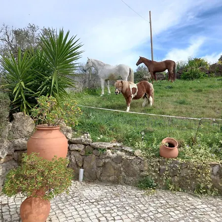 度假居 Casinha De Ferias No Campo - Quintinha Dos Cavalos - Arruda Dos Vinhos