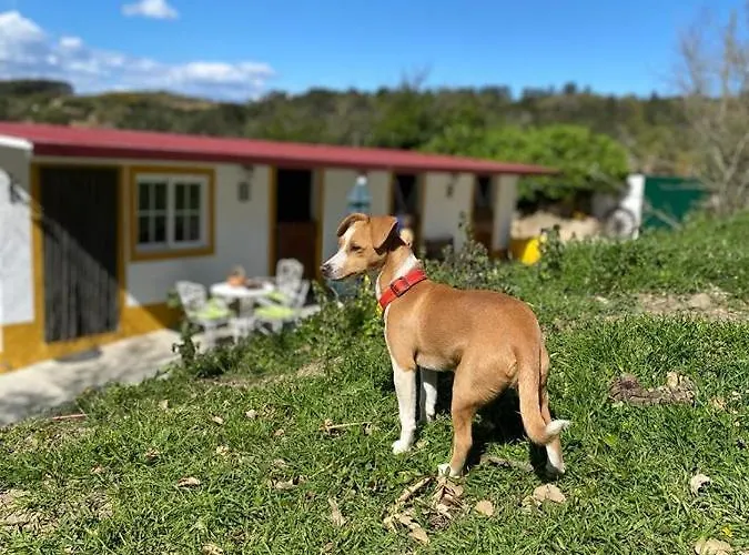 Vakantiehuis Casinha De Ferias No Campo - Quintinha Dos Cavalos - Arruda Dos Vinhos