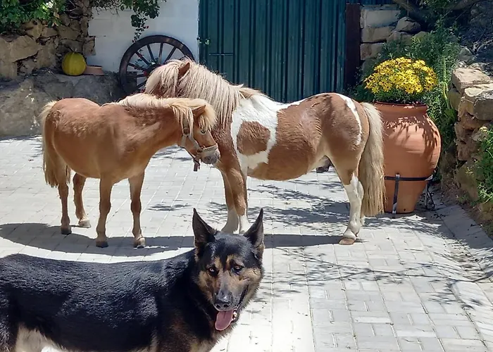Nyaraló Casinha De Ferias No Campo - Quintinha Dos Cavalos - Arruda Dos Vinhos *