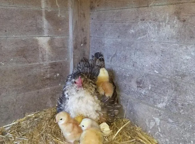 Casinha De Ferias No Campo - Quintinha Dos Cavalos - Arruda Dos Vinhos * Sabugos