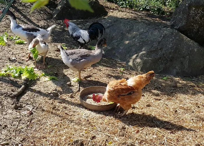 Vakantiehuis Casinha De Ferias No Campo - Quintinha Dos Cavalos - Arruda Dos Vinhos *