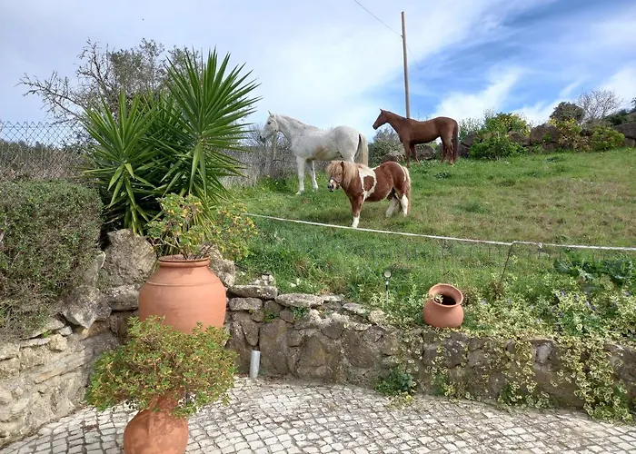 Prázdninový dům Casinha De Ferias No Campo - Quintinha Dos Cavalos - Arruda Dos Vinhos
